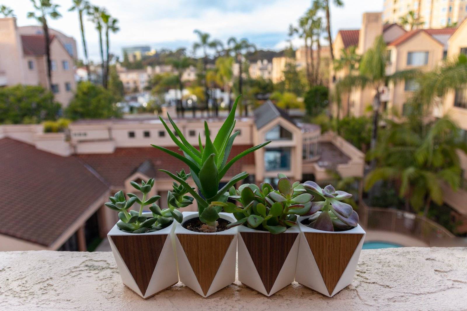 Succulent Planter - Handmade geometric modern chess set design gift by PLA Concept