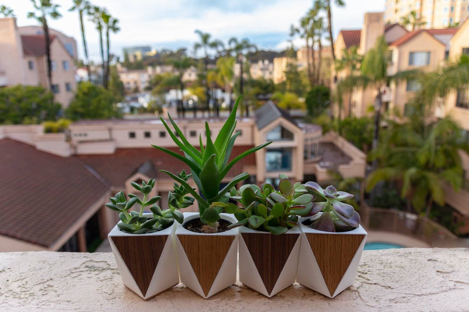 pla for plant pots Modern Geometric Handmade Resin and Wooden Succulent Planter – PLA Concept