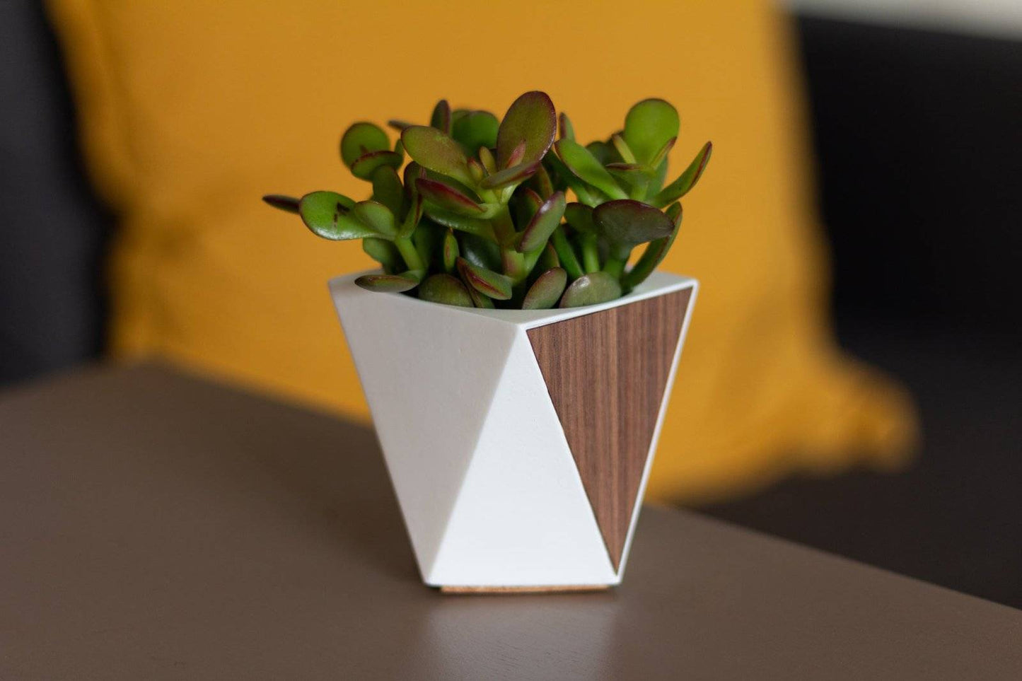 indoor wooden succulent planter Modern Geometric Handmade Resin and Wooden Succulent Planter – PLA Concept